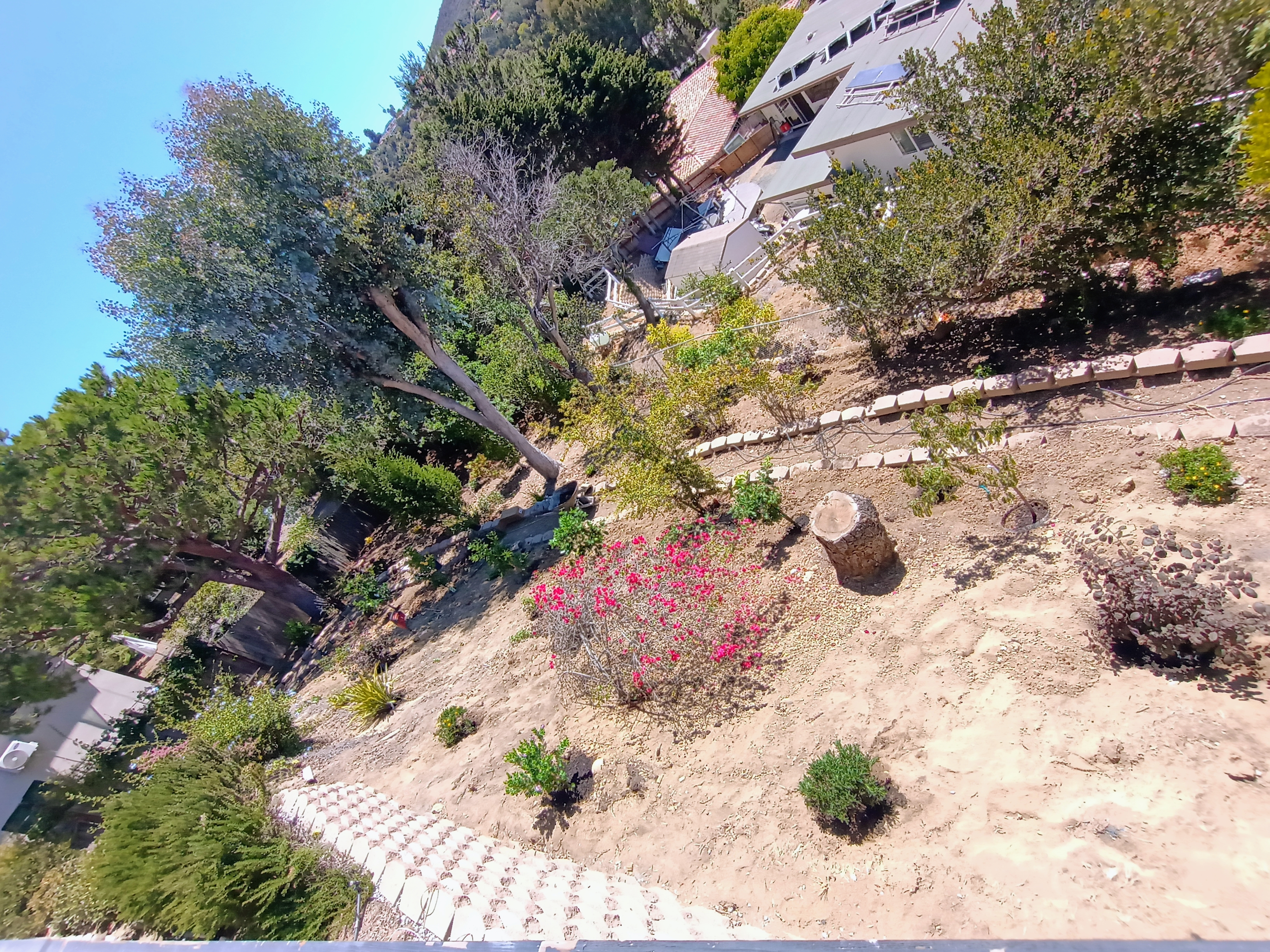 3D Landscape Design