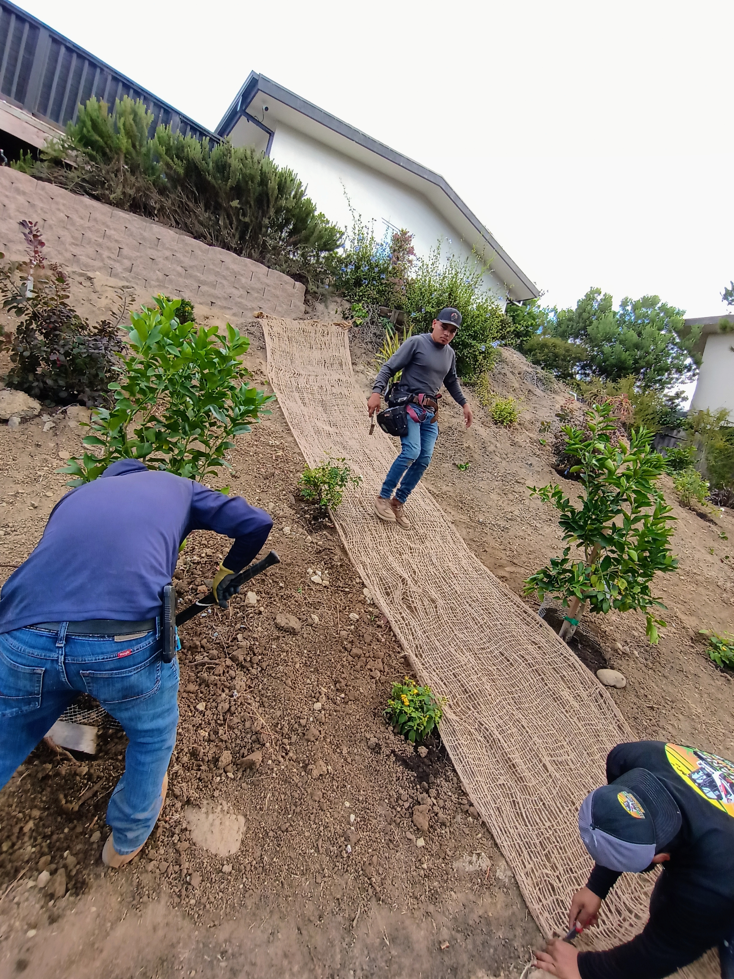 Landscape Project 1