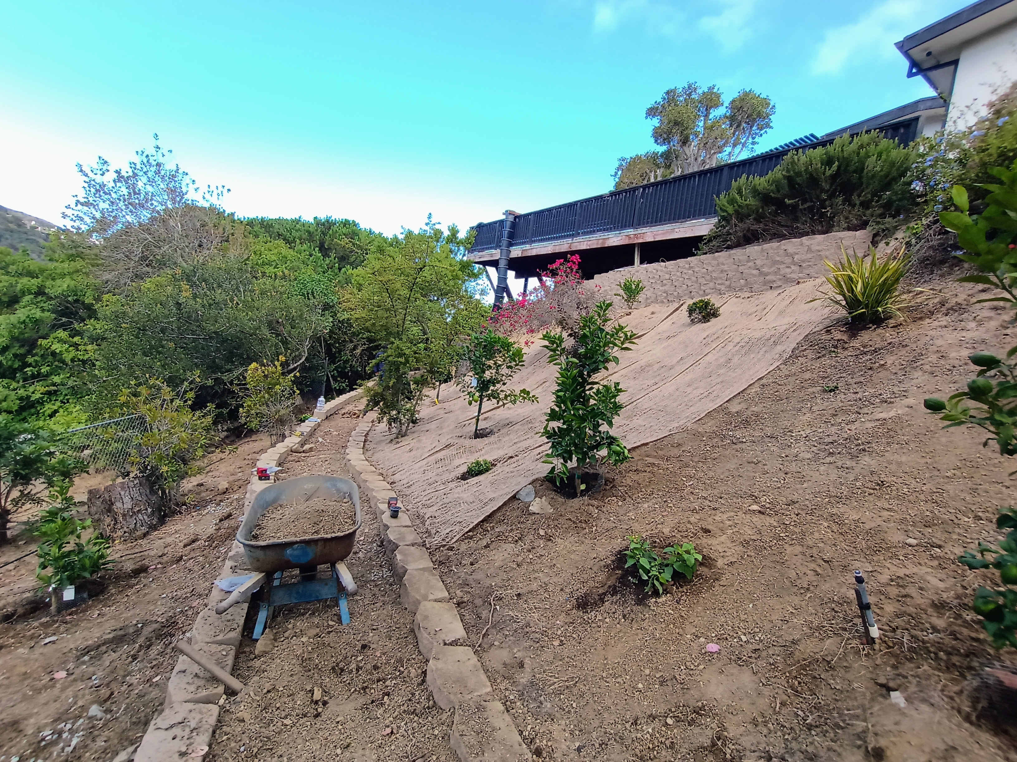 Landscape Project 2
