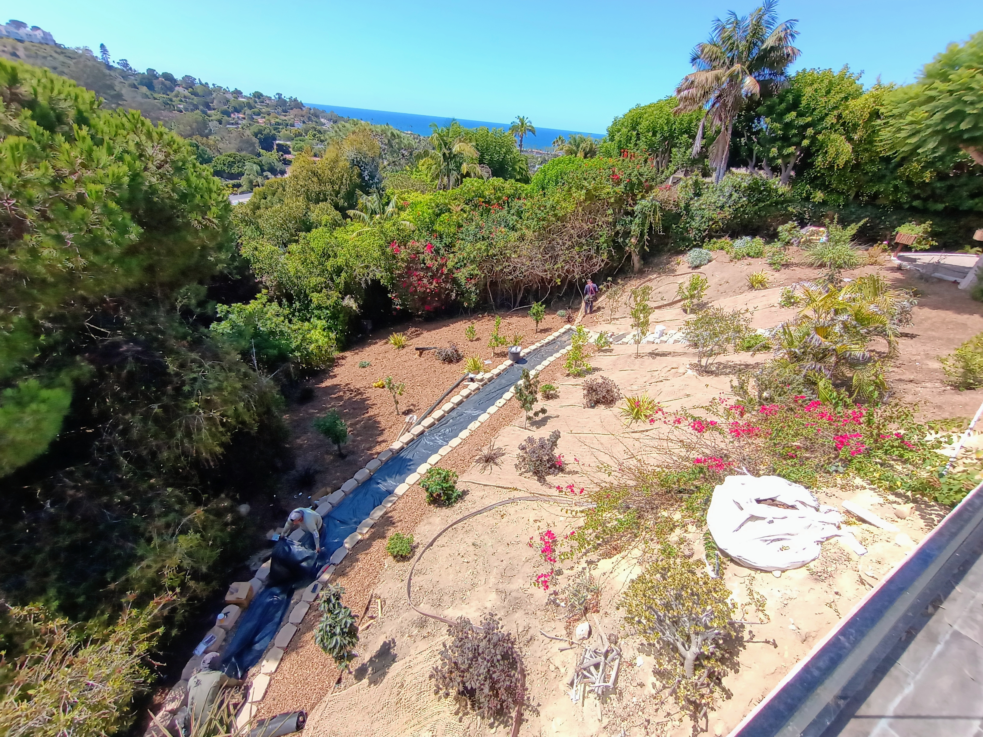 Landscape Project 3