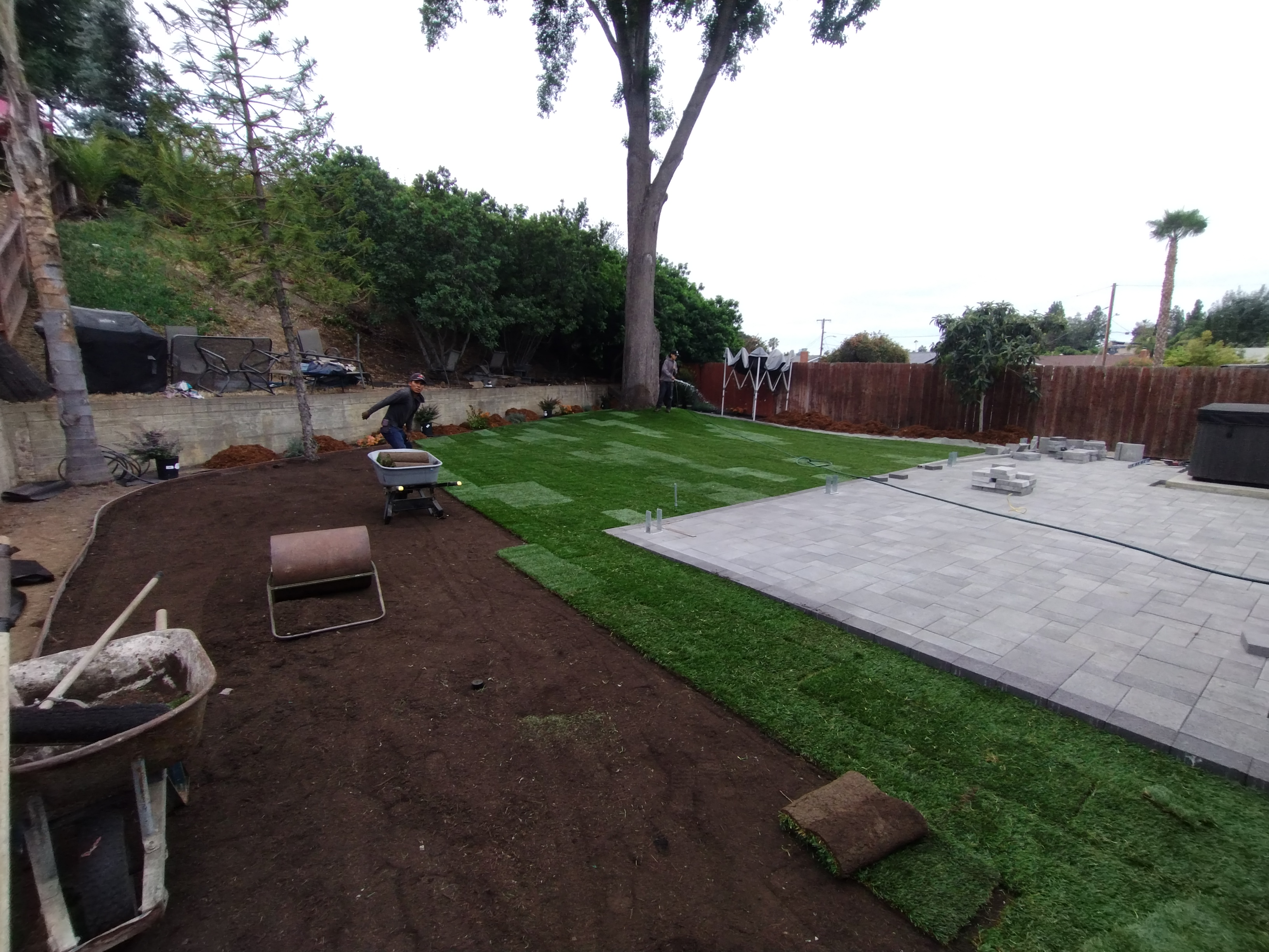 Lawncare Project 1