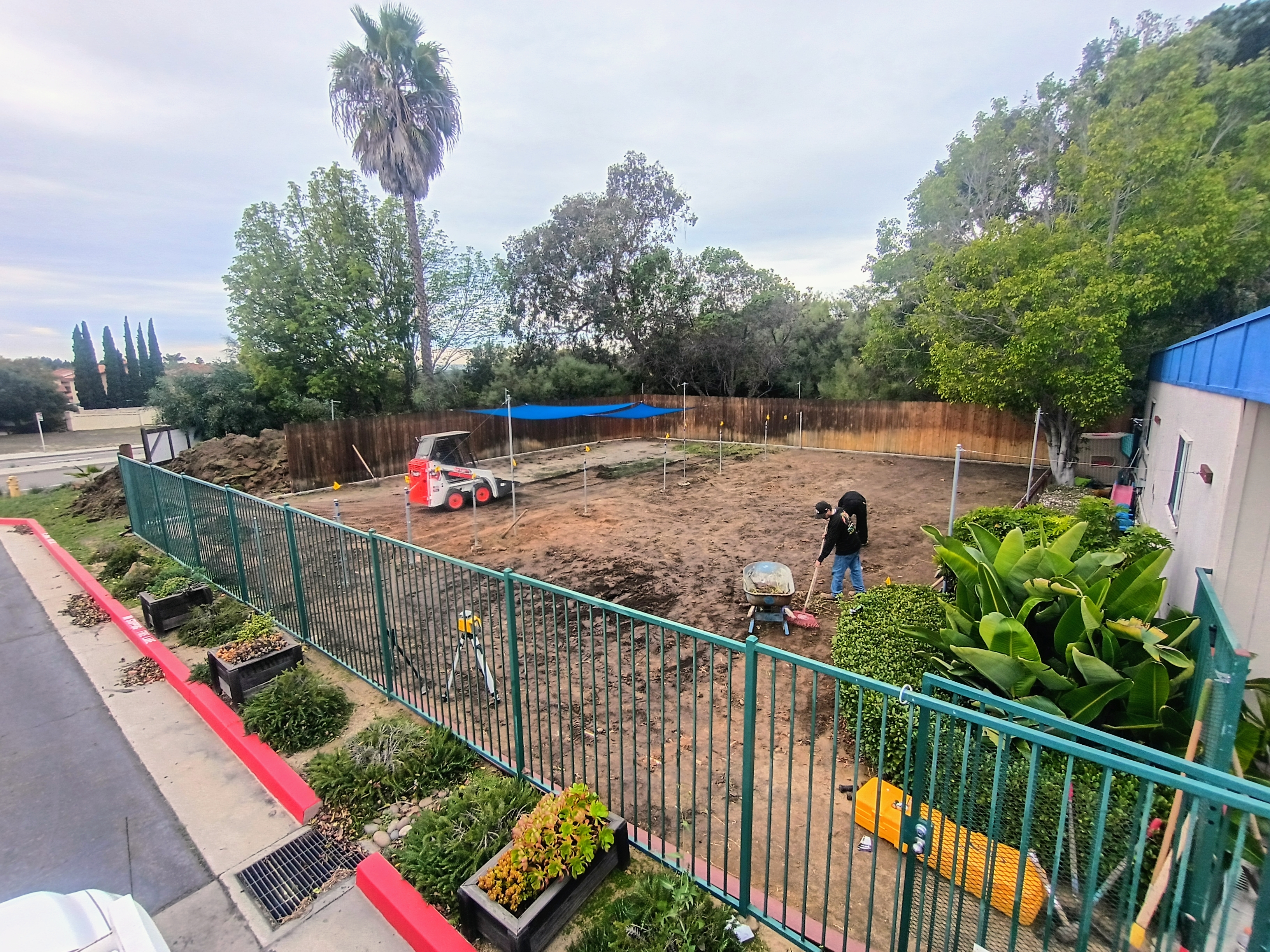 Turf Project 1