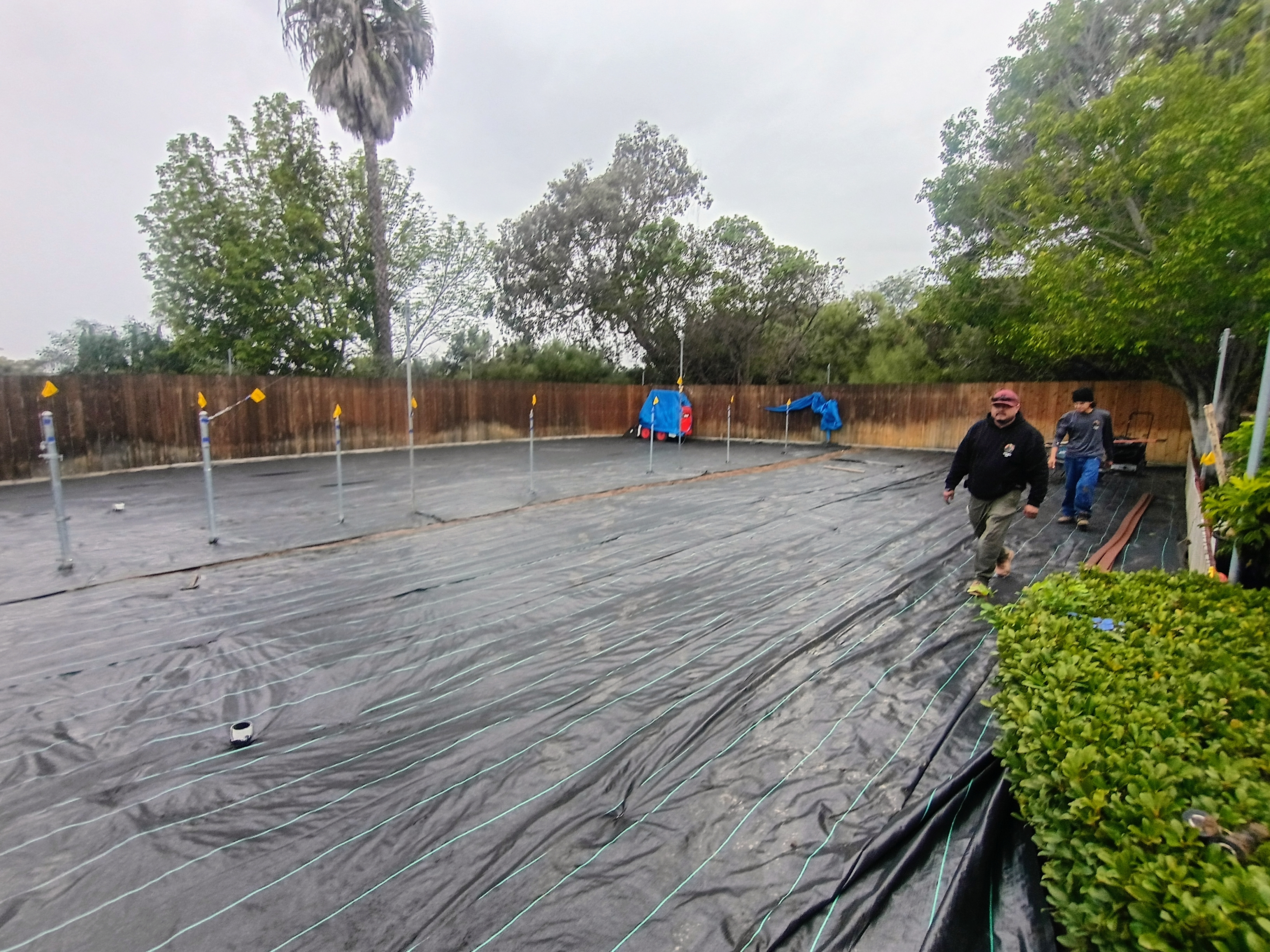 Residential Turf