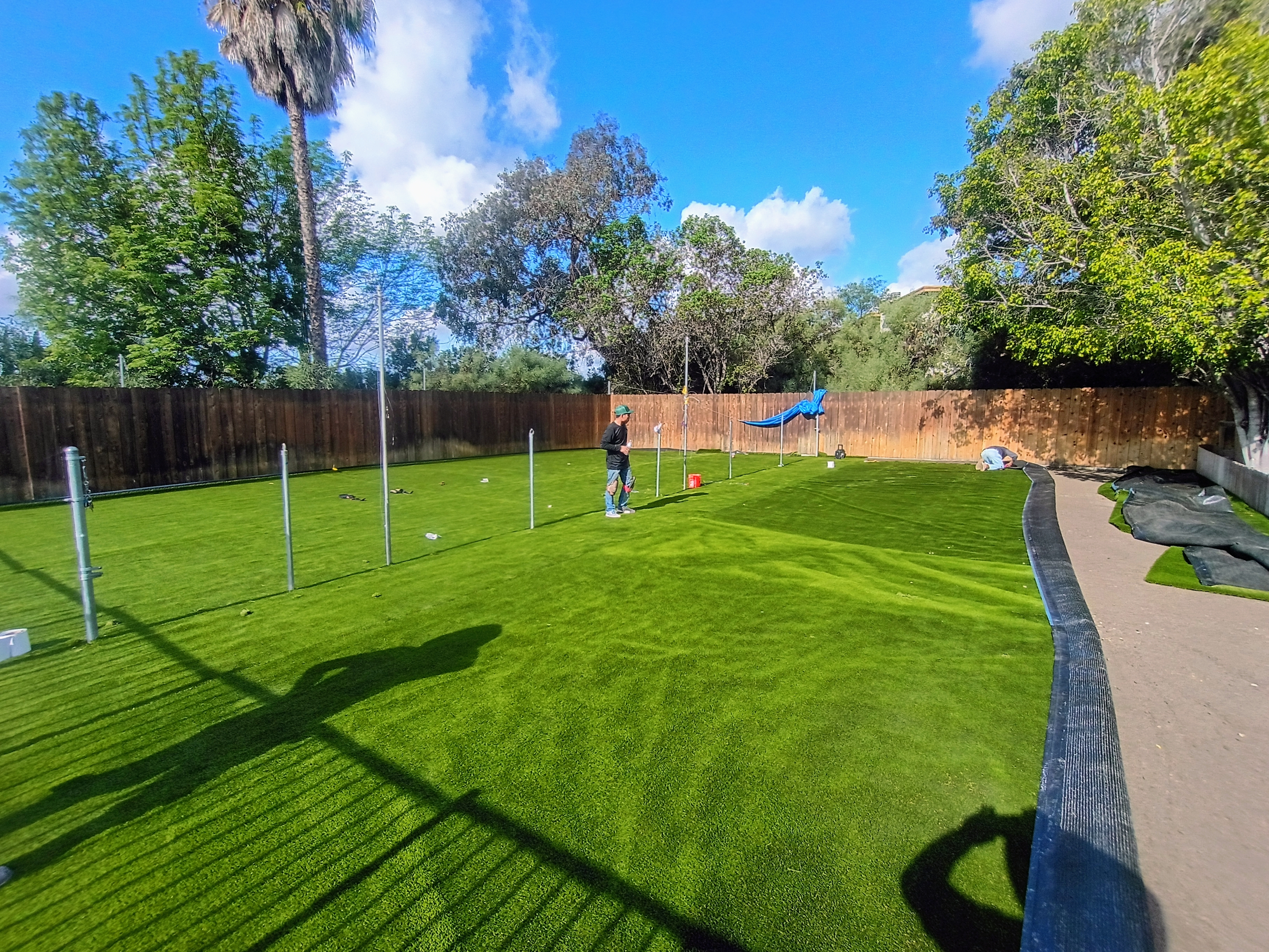 Turf Project 2